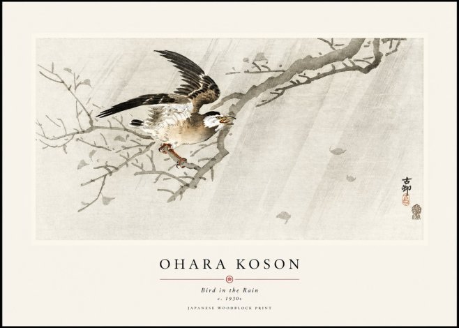 Ohara Koson Bird in the Rain No1 - Juliste
