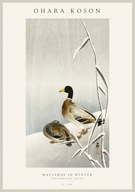Ohara Koson Mallards in Winter No1 - Juliste