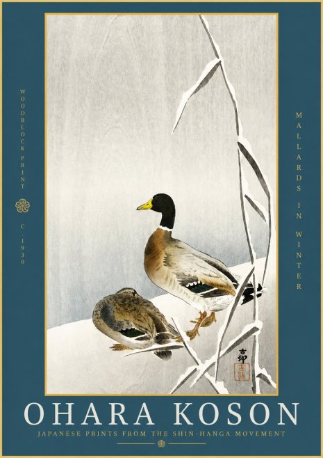 Ohara Koson Mallards in Winter No2 - Juliste