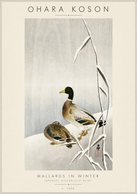 Ohara Koson Mallards in Winter No4 - Juliste