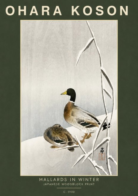 Ohara Koson Mallards in Winter No5 - Juliste
