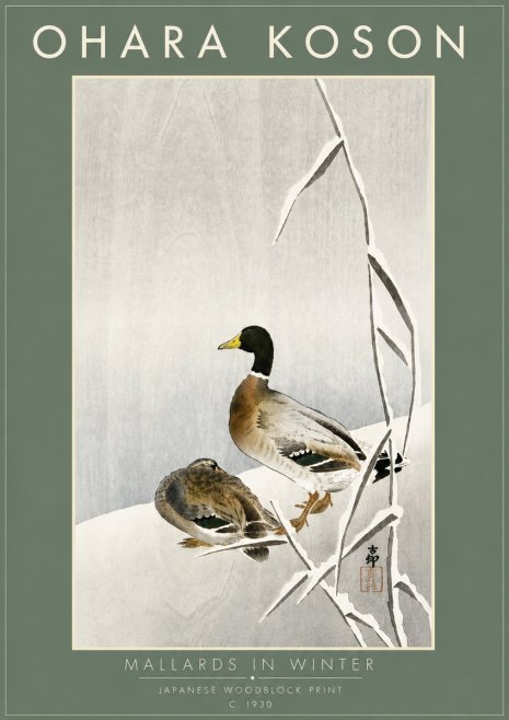 Ohara Koson Mallards in Winter No6 - Juliste