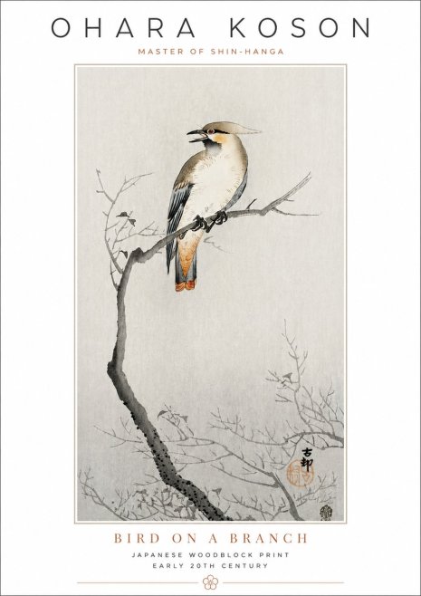 Ohara Koson Bird on a Branch I No3 - Juliste