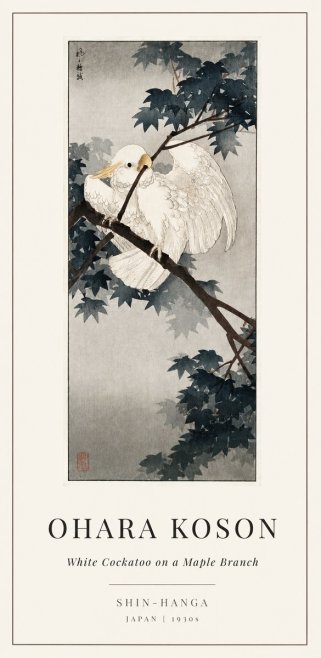 Ohara Koson White Cockatoo on a Maple Branch No1 - Juliste