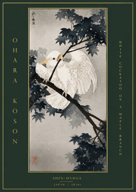 Ohara Koson White Cockatoo on a Maple Branch No5 - Juliste