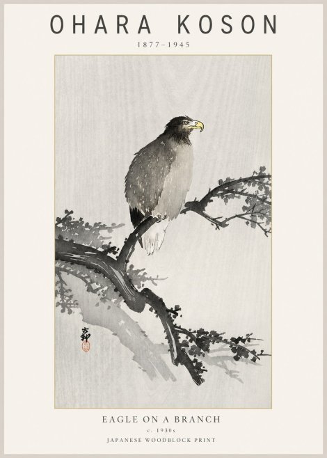 Ohara Koson Eagle on a Branch I No2 - Juliste