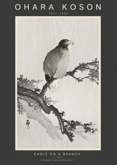 Ohara Koson Eagle on a Branch I No3 - Juliste