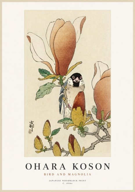 Ohara Koson Bird and Magnolia No1 - Juliste