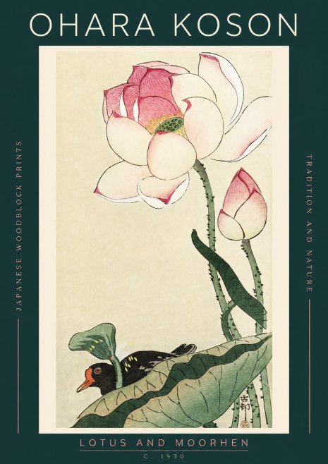 Ohara Koson Lotus and Moorhen No2 - Juliste