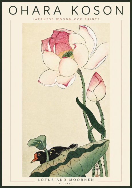 Ohara Koson Lotus and Moorhen No6 - Juliste
