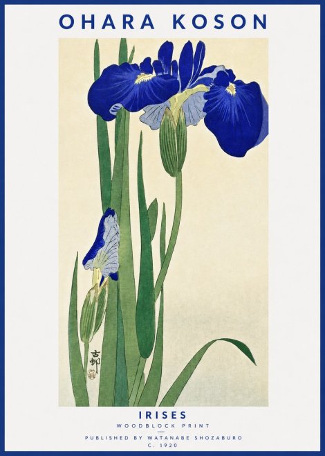 Ohara Koson Irises I No3 - Juliste