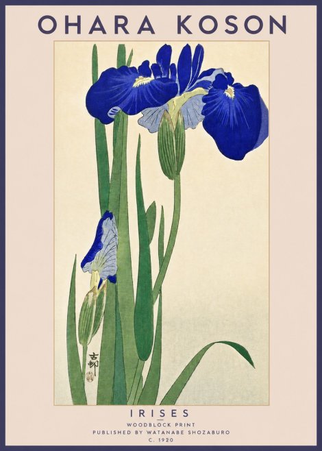 Ohara Koson Irises I No4 - Juliste