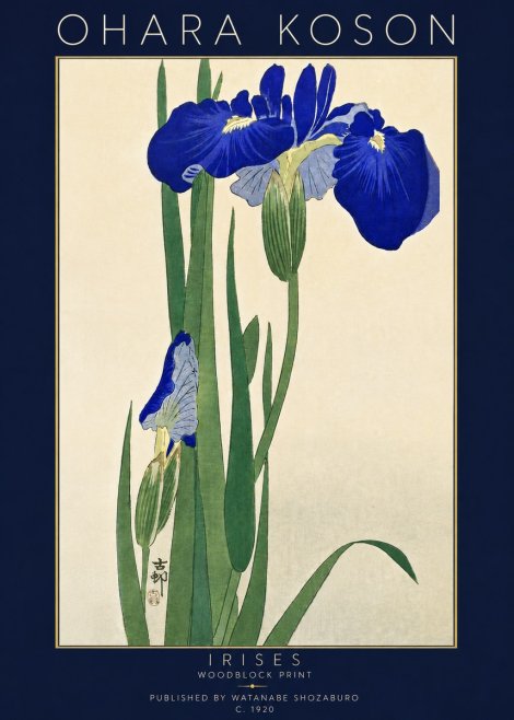 Ohara Koson Irises I No5 - Juliste
