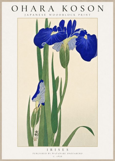 Ohara Koson Irises I No6 - Juliste