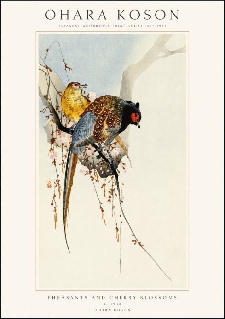 Ohara Koson Pheasants and Cherry Blossoms I No1 - Juliste