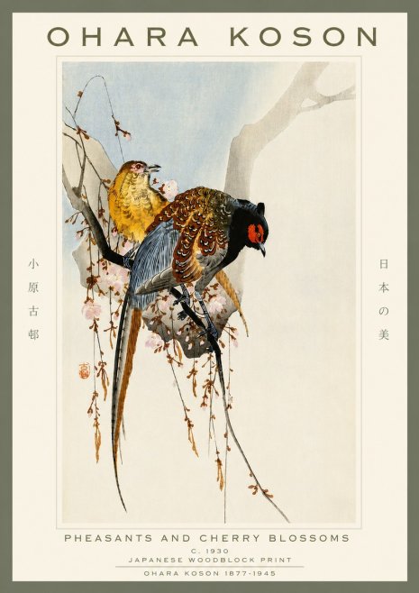 Ohara Koson Pheasants and Cherry Blossoms I No4 - Juliste