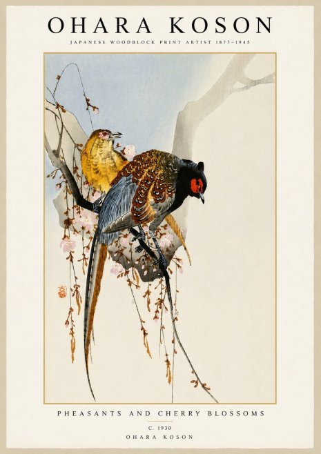 Ohara Koson Pheasants and Cherry Blossoms I No5 - Juliste