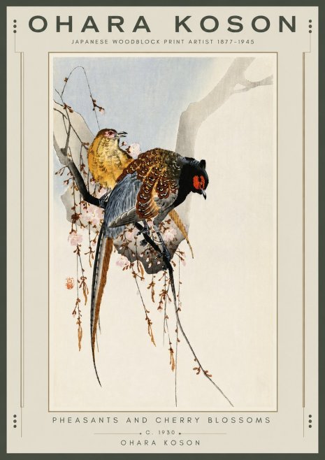 Ohara Koson Pheasants and Cherry Blossoms I No6 - Juliste