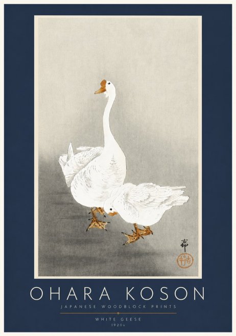 Ohara Koson White Geese No2 - Juliste