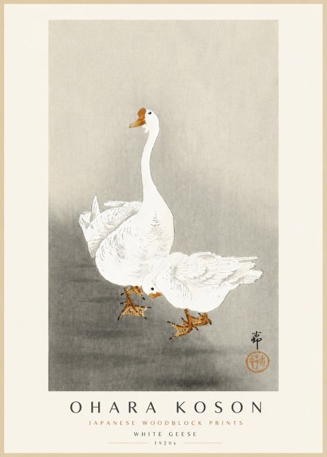 Ohara Koson White Geese No3 - Juliste