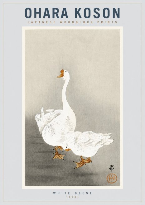 Ohara Koson White Geese No4 - Juliste
