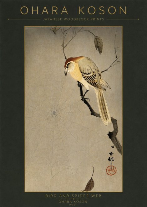 Ohara Koson Bird and Spider Web I No2 - Juliste