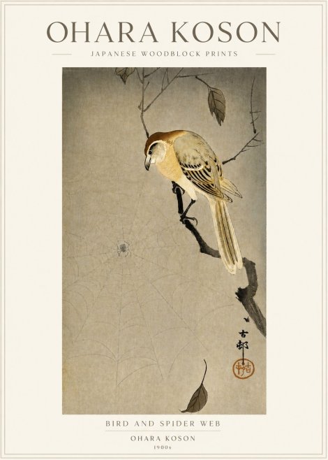 Ohara Koson Bird and Spider Web I No3 - Juliste