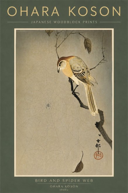 Ohara Koson Bird and Spider Web I No6 - Juliste