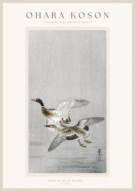 Ohara Koson Wild Ducks in Flight No1 - Juliste