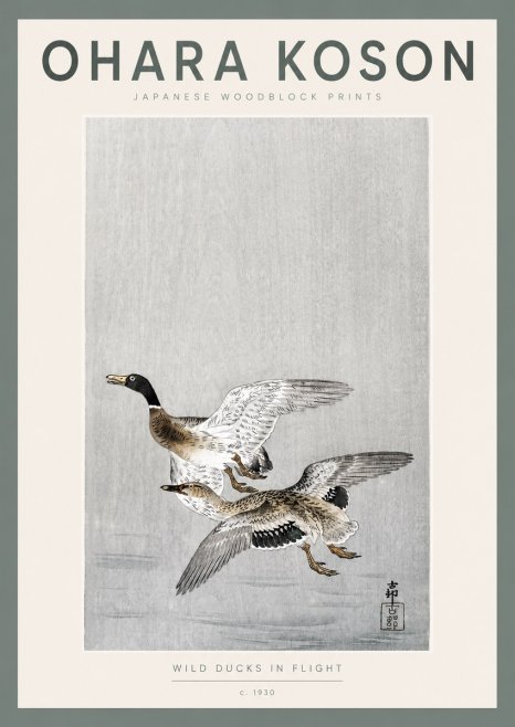 Ohara Koson Wild Ducks in Flight No2 - Juliste