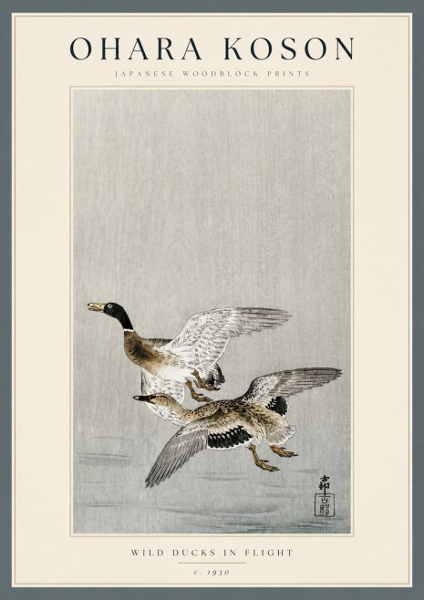 Ohara Koson Wild Ducks in Flight No3 - Juliste