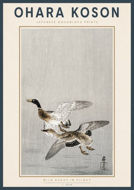 Ohara Koson Wild Ducks in Flight No4 - Juliste