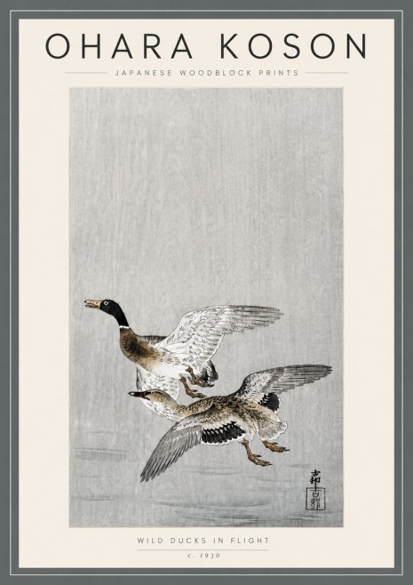 Ohara Koson Wild Ducks in Flight No5 - Juliste