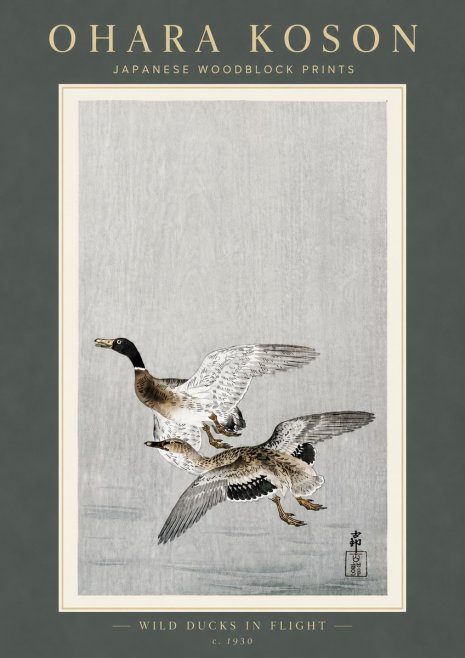 Ohara Koson Wild Ducks in Flight No6 - Juliste