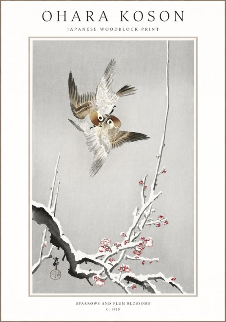Ohara Koson Sparrows and Plum Blossoms No1 - Juliste