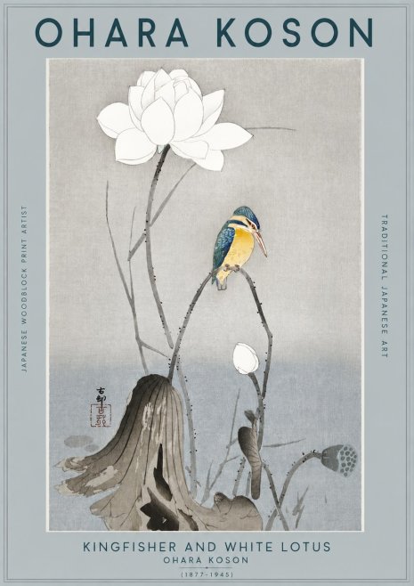 Ohara Koson Kingfisher and White Lotus No2 - Juliste