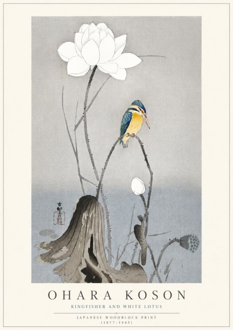 Ohara Koson Kingfisher and White Lotus No3 - Juliste