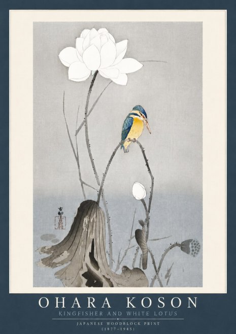 Ohara Koson Kingfisher and White Lotus No4 - Juliste