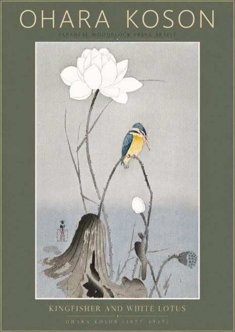 Ohara Koson Kingfisher and White Lotus No5 - Juliste