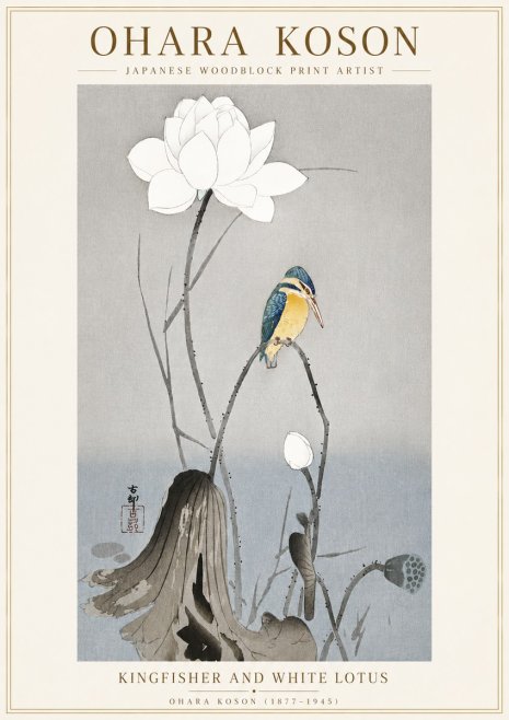 Ohara Koson Kingfisher and White Lotus No6 - Juliste