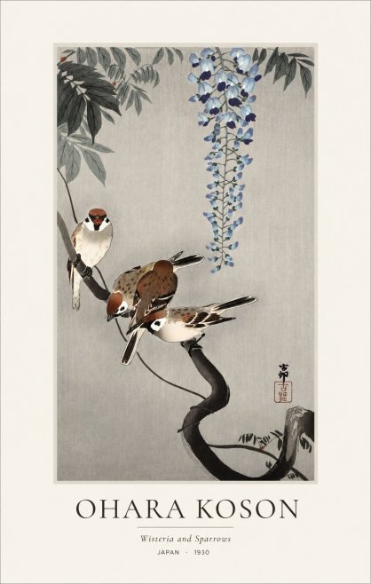 Ohara Koson Wisteria and Sparrows No1 - Juliste