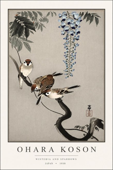 Ohara Koson Wisteria and Sparrows No3 - Juliste
