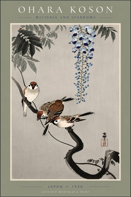 Ohara Koson Wisteria and Sparrows No5 - Juliste