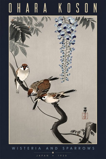 Ohara Koson Wisteria and Sparrows No6 - Juliste