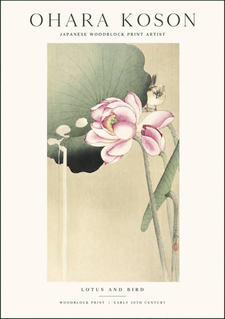 Ohara Koson Lotus and Bird No1 - Juliste