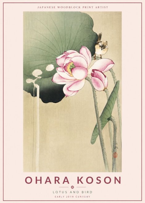Ohara Koson Lotus and Bird No4 - Juliste