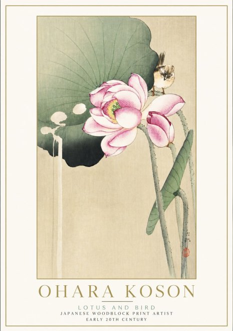 Ohara Koson Lotus and Bird No5 - Juliste