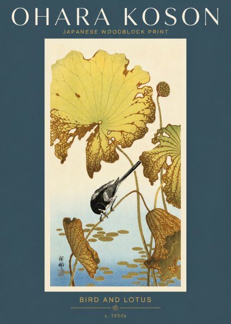 Ohara Koson Bird and Lotus No2 - Juliste