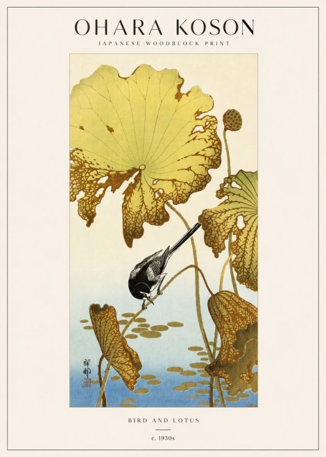 Ohara Koson Bird and Lotus No3 - Juliste