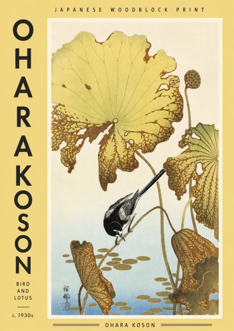 Ohara Koson Bird and Lotus No4 - Juliste